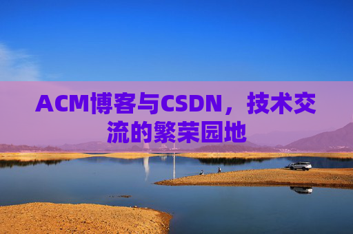 ACM博客与CSDN，技术交流的繁荣园地